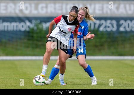 St. Leon Rot, Deutschland. Mai 2025. v.li.: Amira Kallouch (SGE III, 20), Nadine Bitzer (TSG II, 14), Zweikampf, Spielszene, Duell, Duell, Tackle, Tackling, Dynamik, Action, Aktion, 18.05.2025, St. Leon-Rot (Deutschland), Fussball, Frauen, Regionalliga Süd, TSG 1899 Hoffenheim U20 - Eintracht Frankfurt U19, 18.05.2025, St. Leon-Rot (Deutschland), Fussball, Frauen, REGIONALLIGA SÜD, TSG 1899 HOFFENHEIM U20 - EINTRACHT FRANKFURT U19, DFB/DFL-VORSCHRIFTEN VERBIETEN DIE VERWENDUNG VON FOTOGRAFIEN ALS BILDSEQUENZEN UND/ODER QUASI-VIDEO. Quelle: dpa/Alamy Live News Stockfoto
