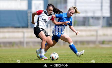 St. Leon Rot, Deutschland. Mai 2025. v.li.: Amira Kallouch (SGE III, 20), Nadine Bitzer (TSG II, 14), Zweikampf, Spielszene, Duell, Duell, Tackle, Tackling, Dynamik, Action, Aktion, 18.05.2025, St. Leon-Rot (Deutschland), Fussball, Frauen, Regionalliga Süd, TSG 1899 Hoffenheim U20 - Eintracht Frankfurt U19, 18.05.2025, St. Leon-Rot (Deutschland), Fussball, Frauen, REGIONALLIGA SÜD, TSG 1899 HOFFENHEIM U20 - EINTRACHT FRANKFURT U19, DFB/DFL-VORSCHRIFTEN VERBIETEN DIE VERWENDUNG VON FOTOGRAFIEN ALS BILDSEQUENZEN UND/ODER QUASI-VIDEO. Quelle: dpa/Alamy Live News Stockfoto