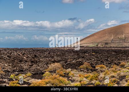 Vulkanisches Gelände auf Lanzarote mit trockenen Hügeln und Lavafeldern im Vordergrund. Palmen wurden von Menschen gepflanzt und dienten als Sonnenuhren. Mancha Blanca, Kanarische Inseln, Spanien Stockfoto