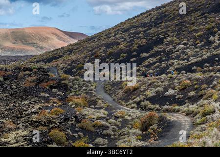 Wanderweg durch vulkanisches Gelände auf Lanzarote. Touristen wandern auf einem Pfad. Mancha Blanca, Kanarische Inseln, Spanien Stockfoto
