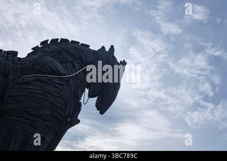 Kopf des Riesen, hölzerne Trojanische Pferdestütze, Reste aus dem Brad Pitt-Film Troy. Es wurde in der Nähe gefilmt und dann geschenkt. In Canakkale, Türkei. Stockfoto