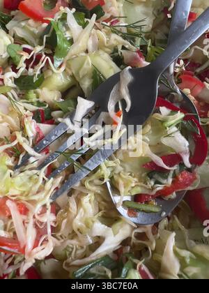 Frischer Gemüsesalat, geriebener Grünkohl, rote Paprika, Tomaten, Gurken, und grüne Zwiebeln. Bunt, gesund Stockfoto
