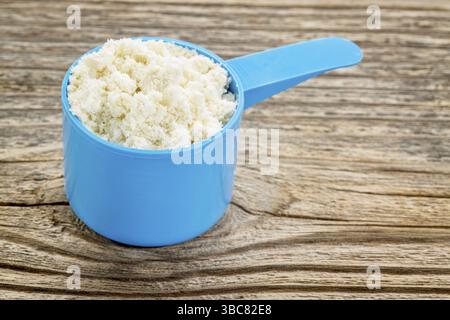 Molkenproteinpulver in einem blauen Kunststoff-Messlöffel gegen gemasertes Holz Stockfoto