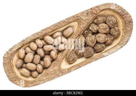 Schwarze Walnüsse und Pekannüsse in einem geteilten Tablett aus Mangoholz mit Rindenkanten, isoliert auf weiß, Blick von oben Stockfoto