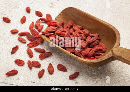 Tibetischen Goji Beeren (Wolfsbeere) verschütten, der die hölzerne Schaufel auf einer groben weißen Holzoberfläche lackiert Stockfoto