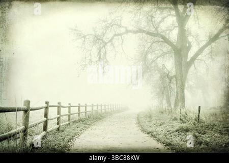 Nostalgische Herbstszene, nebeliger Parkweg - Landschaft mit Grunge-Textur-Effekt Stockfoto