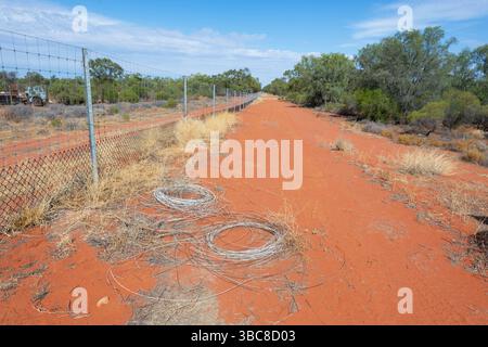 Blick auf den Wild Dog Barrier Zaun in Hungerford, South West Queensland, QLD, Australien Stockfoto
