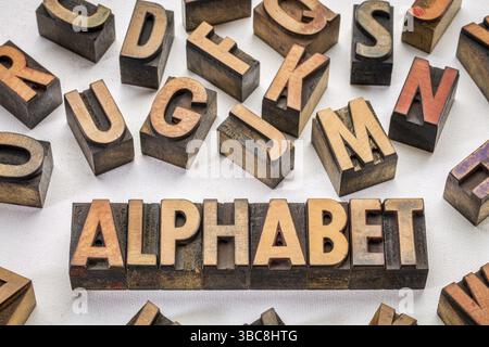 Alphabet-Worttypografie in Vintage-Holzdruckblöcken auf Künstlerleinwand Stockfoto
