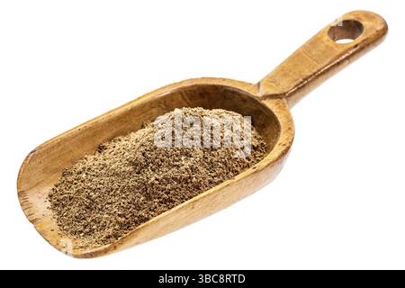 Noni-Fruchtpulver auf einer rustikalen Holzschaufel, isoliert auf weiß Stockfoto