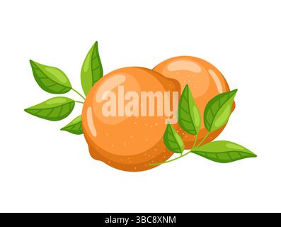 Flache Vektorillustration von zwei ganzen frischen Orangen mit grünen Blättern, isoliert auf weißem Hintergrund. Einfaches und helles Obstdesign. Stock Vektor