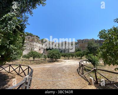 Holzzaun zum Schutz von Latomia del Paradiso, einem antiken griechischen Steinbruch in Syrakus, Sizilien, mit Orangenbäumen im Vordergrund Stockfoto