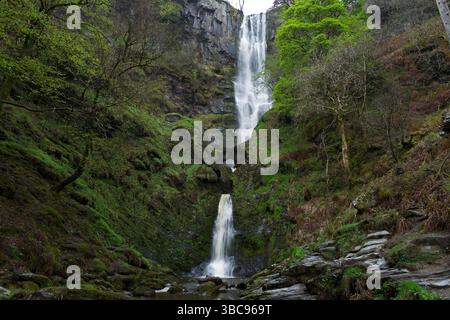 Der Pistyll Rhaeadr Wasserfall liegt in den Berwyn Mountains, Wales. Er ist der höchste Wasserfall Großbritanniens und der größte Wasserfall in Wales. Stockfoto