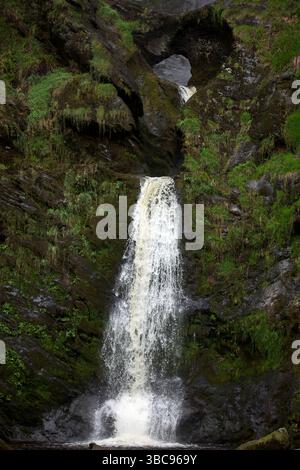 Der Pistyll Rhaeadr Wasserfall liegt in den Berwyn Mountains, Wales. Er ist der höchste Wasserfall Großbritanniens und der größte Wasserfall in Wales. Stockfoto
