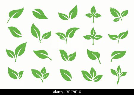 Vorlage Für Vektorsatz Für Label-Logo Der Blattsymbolsammlung Stock Vektor