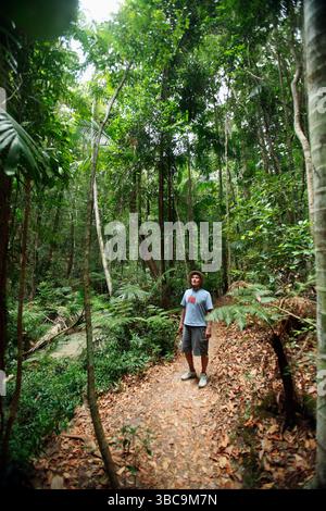 Besucher spazieren durch den Regenwald auf Fraser Island, Australien. Stockfoto