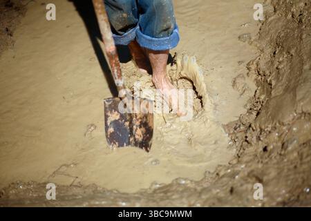 Bauern, die im Schlamm graben, um Reisfelder zu kreieren. Stockfoto