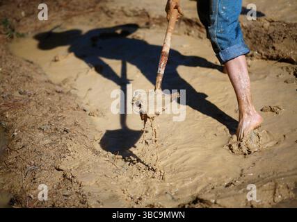 Bauern, die im Schlamm graben, um Reisfelder zu kreieren. Stockfoto