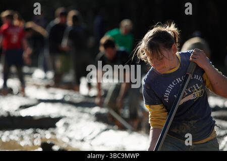 Bauern, die im Schlamm graben, um Reisfelder zu kreieren. Stockfoto
