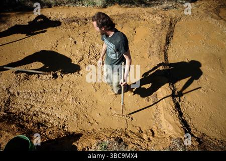 Bauern, die im Schlamm graben, um Reisfelder zu kreieren. Stockfoto
