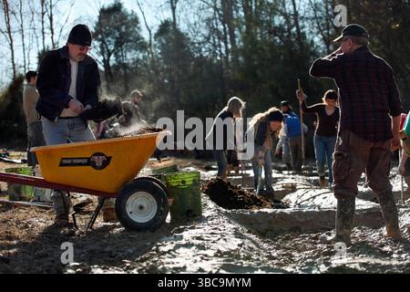 Bauern, die im Schlamm graben, um Reisfelder zu kreieren. Stockfoto