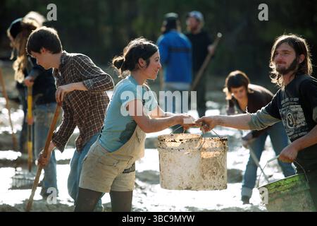 Bauern, die im Schlamm graben, um Reisfelder zu kreieren. Stockfoto