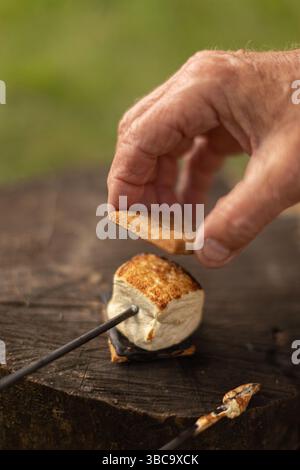 Ich füge dem Smore den besten graham Cracker hinzu Stockfoto
