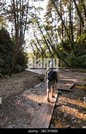 Männlicher Wanderer überquert den Bach in der Nähe des Fern Canyon Loop in Redwoods Kalifornien Stockfoto