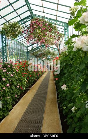 Die königlichen Gewächshäuser zur Blütezeit, im Palast von Laeken, Brüssel Stockfoto
