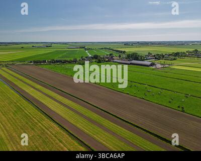 Blick aus der Vogelperspektive auf grüne Felder mit weidenden Kühen, frisch gepflügte Felder und entfernte Windturbinen unter einem klaren blauen Himmel in der niederländischen Landschaft. Stockfoto