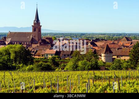 Erhöhter Blick auf die Stadt Bergheim von den Hängen des Altenbergs, Elsass, Oberrhein, Frankreich. Stockfoto