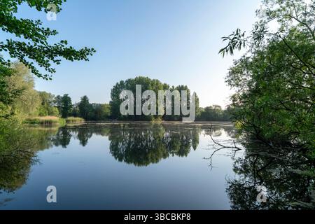 Langford Lakes Naturschutzgebiet in der Nähe von Salisbury UK Stockfoto
