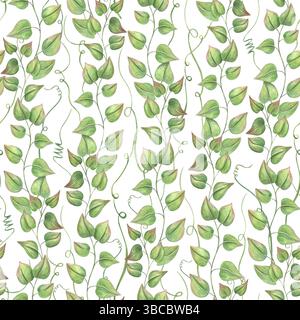 Aquarellkletternde Rebzweige nahtloses Muster isolierter Hintergrund. Abstrakte Wildpflanzen mit üppigem Laub für Textildesign, Tapeten, Hochzeit Stockfoto
