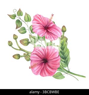 Aquarellromantische rosa Malve mit Orchideenknospen und Kletterstöcken Illustration isolierten Hintergrund. Tropischer Blumenstrauß für Hochzeitsunterlagen Stockfoto