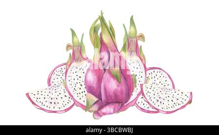 Ganze und geschnittene pinke pitaya Aquarellillustration isolierter Hintergrund. Süße ganze Früchte, Hälften und Scheiben Pitahaya für tropische Früchte Stockfoto