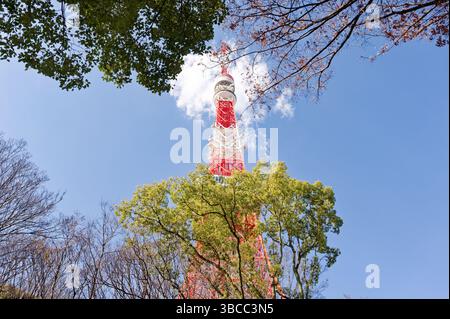 Der Tokio Tower blickt durch einen Rahmen von Bäumen Stockfoto
