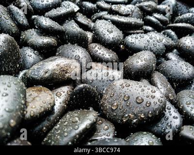 Viele dunkle Steine unterschiedlicher Größe mit kleinen Wassertropfen bedeckt, mit Wasser besprüht. Schwarze, graue, dunkelbraune Kieselsteine. Flache schwarze Steine, runde Steinen Stockfoto