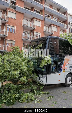 Turin, Italien. Mai 2025. Bus di studenti in gita finisce contro un albero - Torino, Italia - Cronaca - lunedì 19 maggio 2025 - ( Foto Nicolo Campo/LaPresse ) Studentenbus stürzt in Baum - Turin, Italien - Montag, 19. Mai 2025 - Nachrichten - ( Foto Nicolo Campo/LaPresse ) Credit: LaPresse/Alamy Live News Stockfoto
