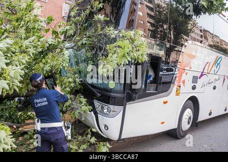 Turin, Italien. Mai 2025. Bus di studenti in gita finisce contro un albero - Torino, Italia - Cronaca - lunedì 19 maggio 2025 - ( Foto Nicolo Campo/LaPresse ) Studentenbus stürzt in Baum - Turin, Italien - Montag, 19. Mai 2025 - Nachrichten - ( Foto Nicolo Campo/LaPresse ) Credit: LaPresse/Alamy Live News Stockfoto