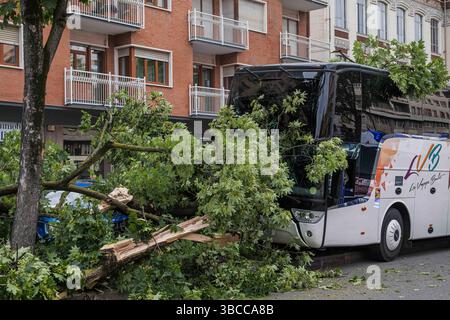 Turin, Italien. Mai 2025. Bus di studenti in gita finisce contro un albero - Torino, Italia - Cronaca - lunedì 19 maggio 2025 - ( Foto Nicolo Campo/LaPresse ) Studentenbus stürzt in Baum - Turin, Italien - Montag, 19. Mai 2025 - Nachrichten - ( Foto Nicolo Campo/LaPresse ) Credit: LaPresse/Alamy Live News Stockfoto