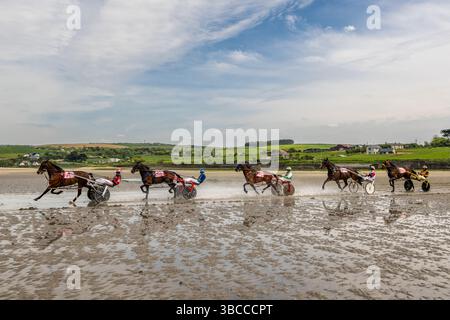 Harness Racing am Harbour View Beach, West Cork, Irland. Stockfoto