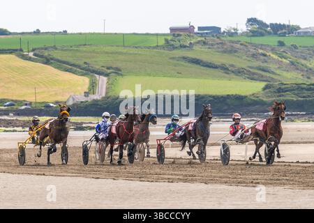 Harness Racing am Harbour View Beach, West Cork, Irland. Stockfoto