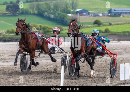 Harness Racing am Harbour View Beach, West Cork, Irland. Stockfoto