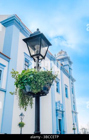 Traditionelle Straßenlaterne mit hängenden Pflanzen an der blau-weißen Kirchenfassade. Misericordia Kirche in Angra do Heroismo, Azoren. Portugiesische kolonie Stockfoto