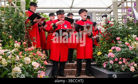 London, Großbritannien. Mai 2025. Die Chelsea Pensioners Singers singen und posieren Harkness Roses. Am Pressetag der Chelsea Flower Show auf der RHS können Floristen, Designer, Prominente und Einladende die vielen Gartendesigns und Blumenpräsentationen der berühmten Gartenbaushow erkunden und sich mischen. Quelle: Imageplotter/Alamy Live News Stockfoto