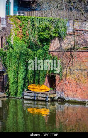 Ein hellgelbes Boot liegt auf einem kleinen hölzernen Dock an einer mit Efeu bewachsenen Ziegelmauer, die ein lebendiges Spiegelbild im ruhigen Kanalwasser in Gent, Bel, wirft Stockfoto