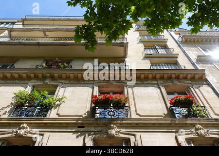 Paris, typische Fassaden und Fenster, schöne Gebäude mit alten Zinkdächern Stockfoto