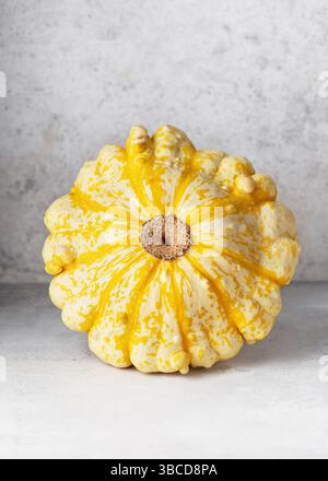 Bio UFO Pattypan Squash, Kürbis „Jerusalem Artischocke“ (Cucurbita pepo) auf hellem Steinhintergrund. Ernte oder gesunde Lebensmittel Konzept. Stockfoto