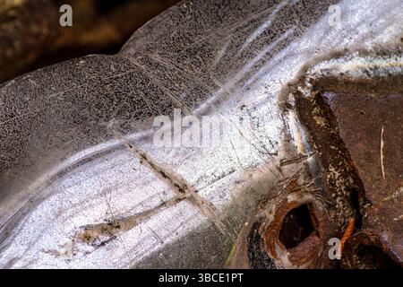 Extreme Nahaufnahme einer zerkratzten Metalloberfläche mit Rost, Schmutz und organischen Ablagerungen, die Verwitterung und industriellen Verfall zeigen. Stockfoto
