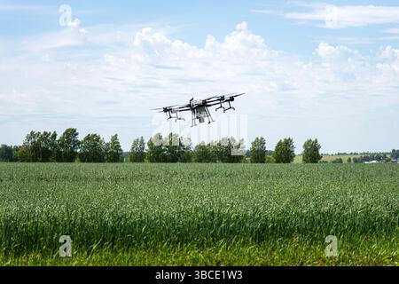 Drohnenspritze fliegt über das landwirtschaftliche Feld. Intelligente Landwirtschaft und Präzisionslandwirtschaft. Eine industrielle Drohne am Himmel. Quadrocopter zur Bestäubung Stockfoto