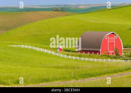 Juni 2018. USA, Idaho, Moskau. Region Palouse. Rote Scheune. Grüne Weizenfelder. Weißer Zaun. Stockfoto